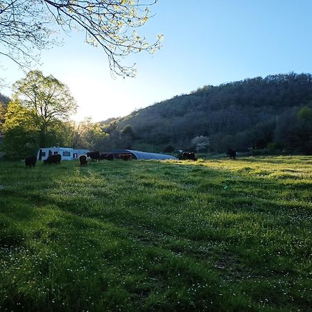 Ferme Les Therondels Saint-Pons-de-Thomieres Екстер'єр фото
