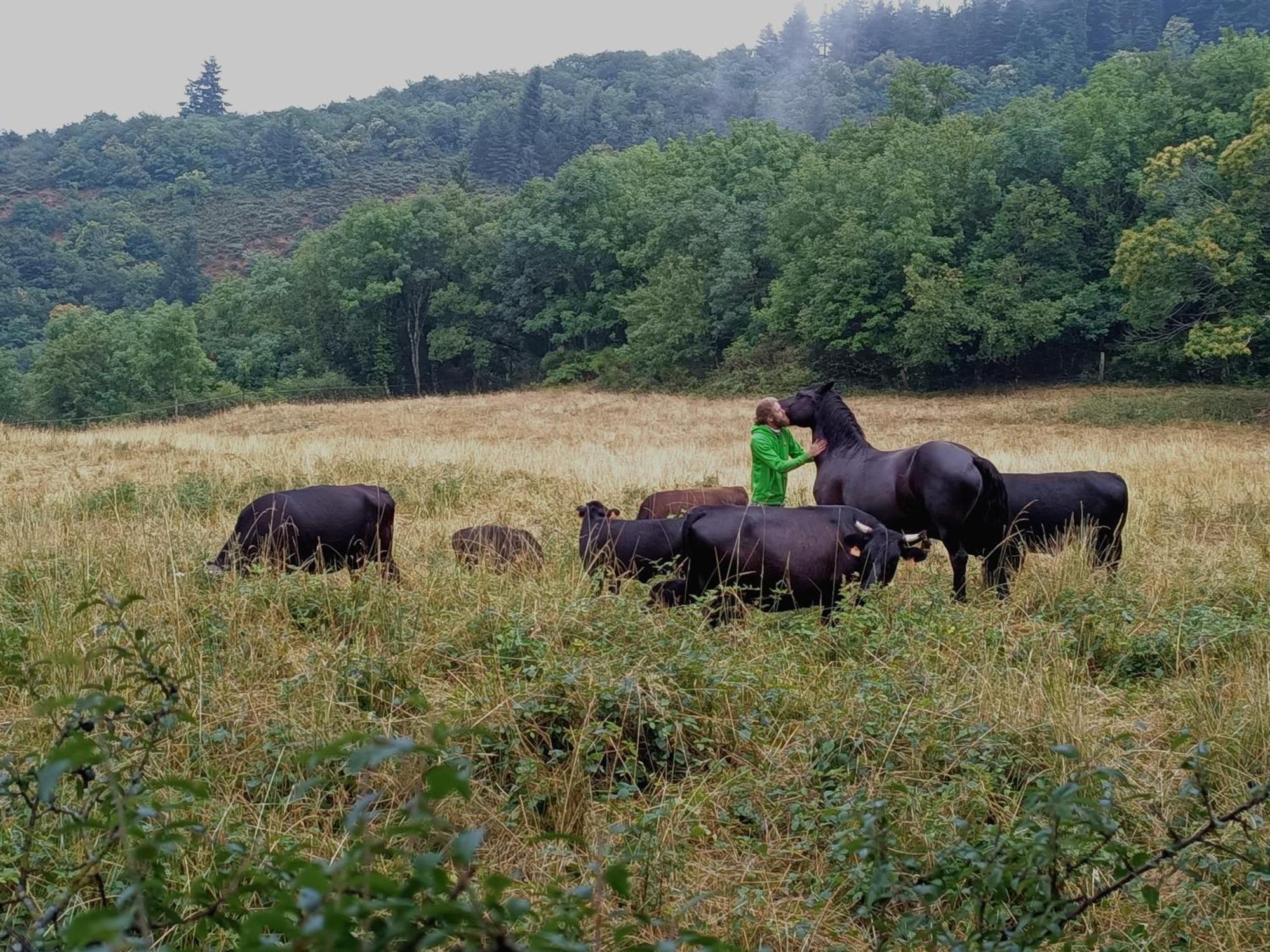 Ferme Les Therondels Saint-Pons-de-Thomieres Екстер'єр фото