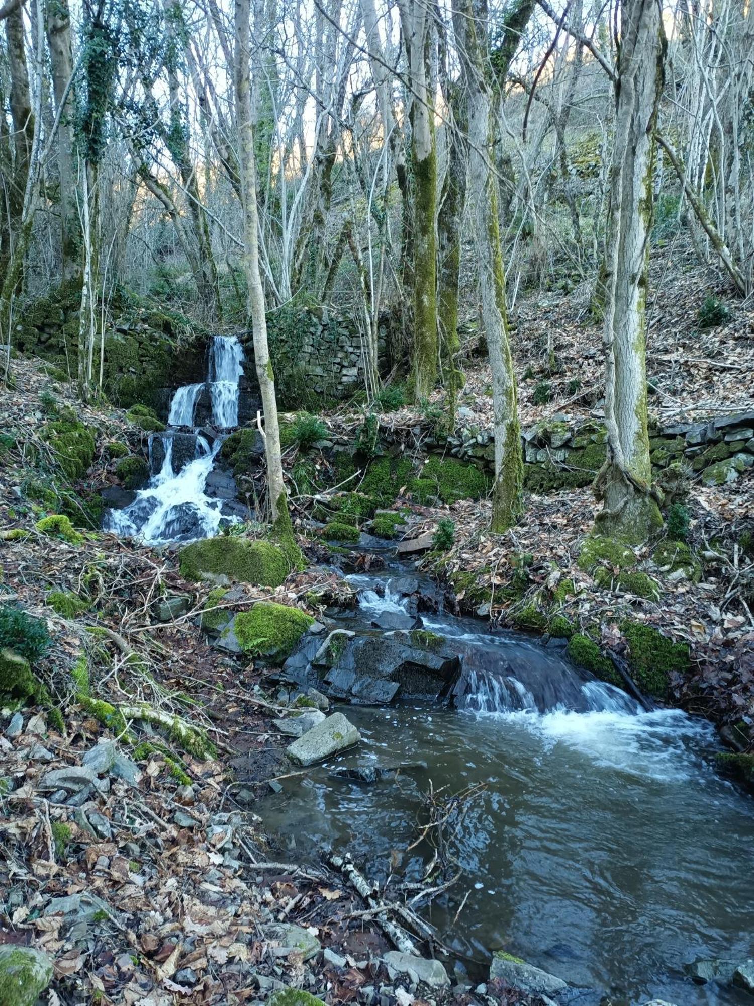 Ferme Les Therondels Saint-Pons-de-Thomieres Екстер'єр фото