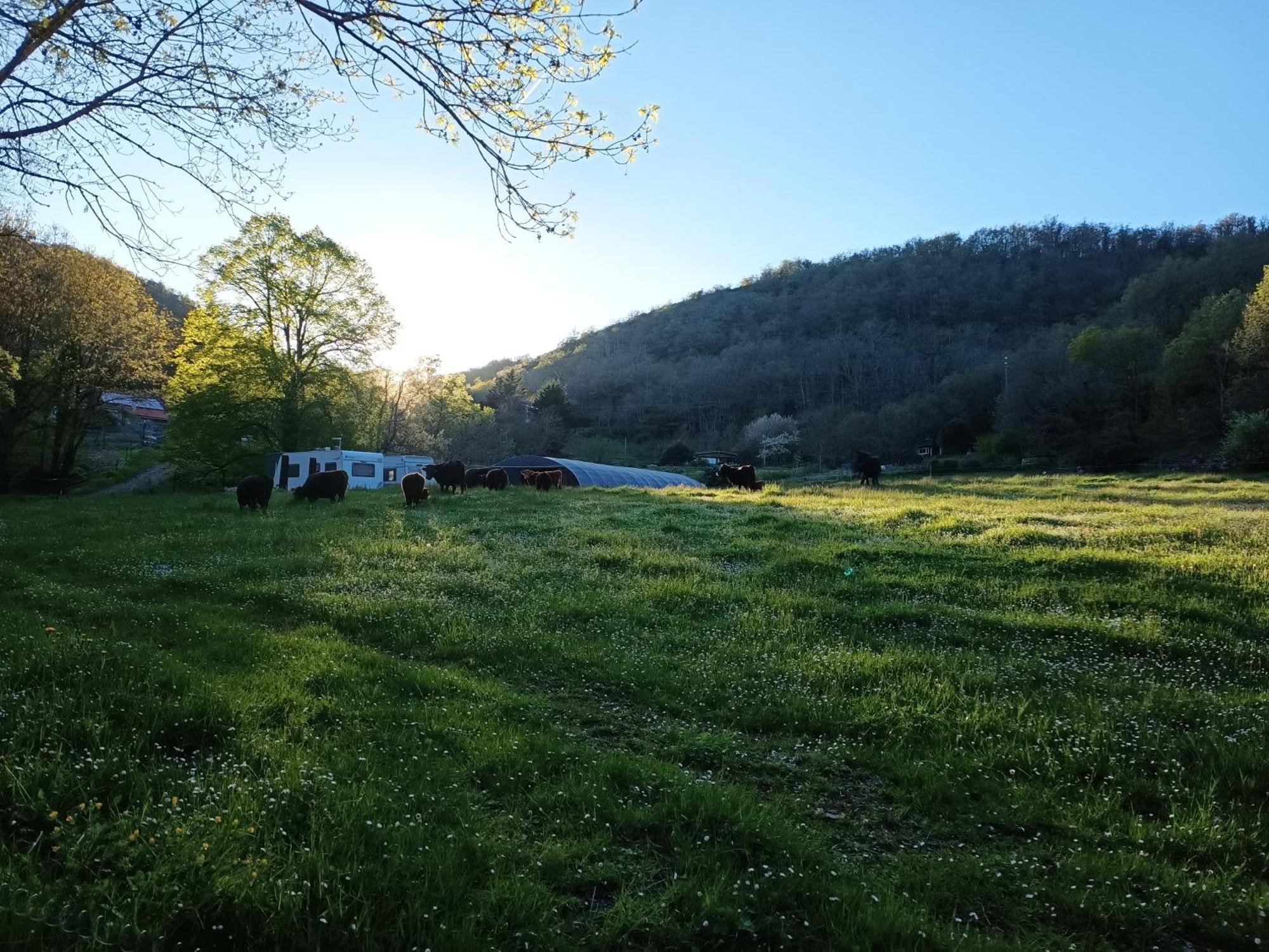 Ferme Les Therondels Saint-Pons-de-Thomieres Екстер'єр фото